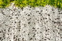 Mijölnir Juego de alfombrillas de baño CT-5315, 2 piezas, Multicolor